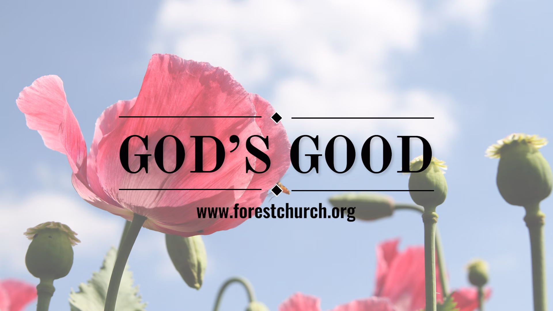 pink flower clouds in background, God's Good text overlay