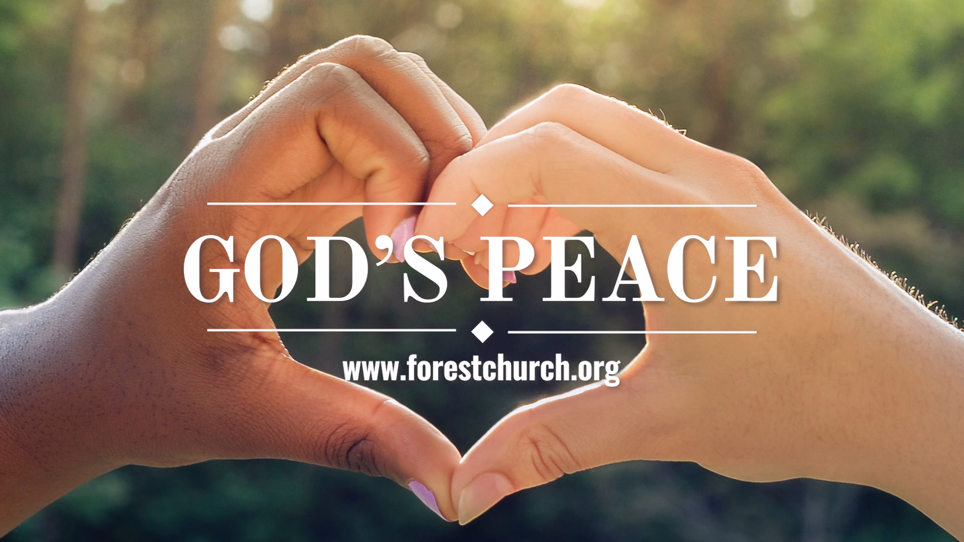 black hand and white hand forming a heart